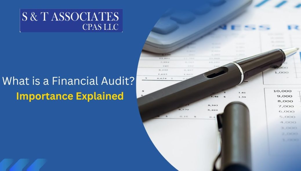 Financial Audit