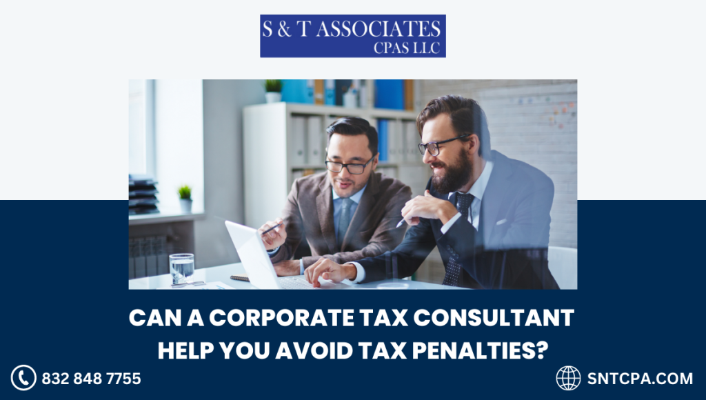 Corporate Tax Consultant